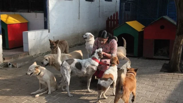 Charlie’s Animal Rescue Centre-CARE2