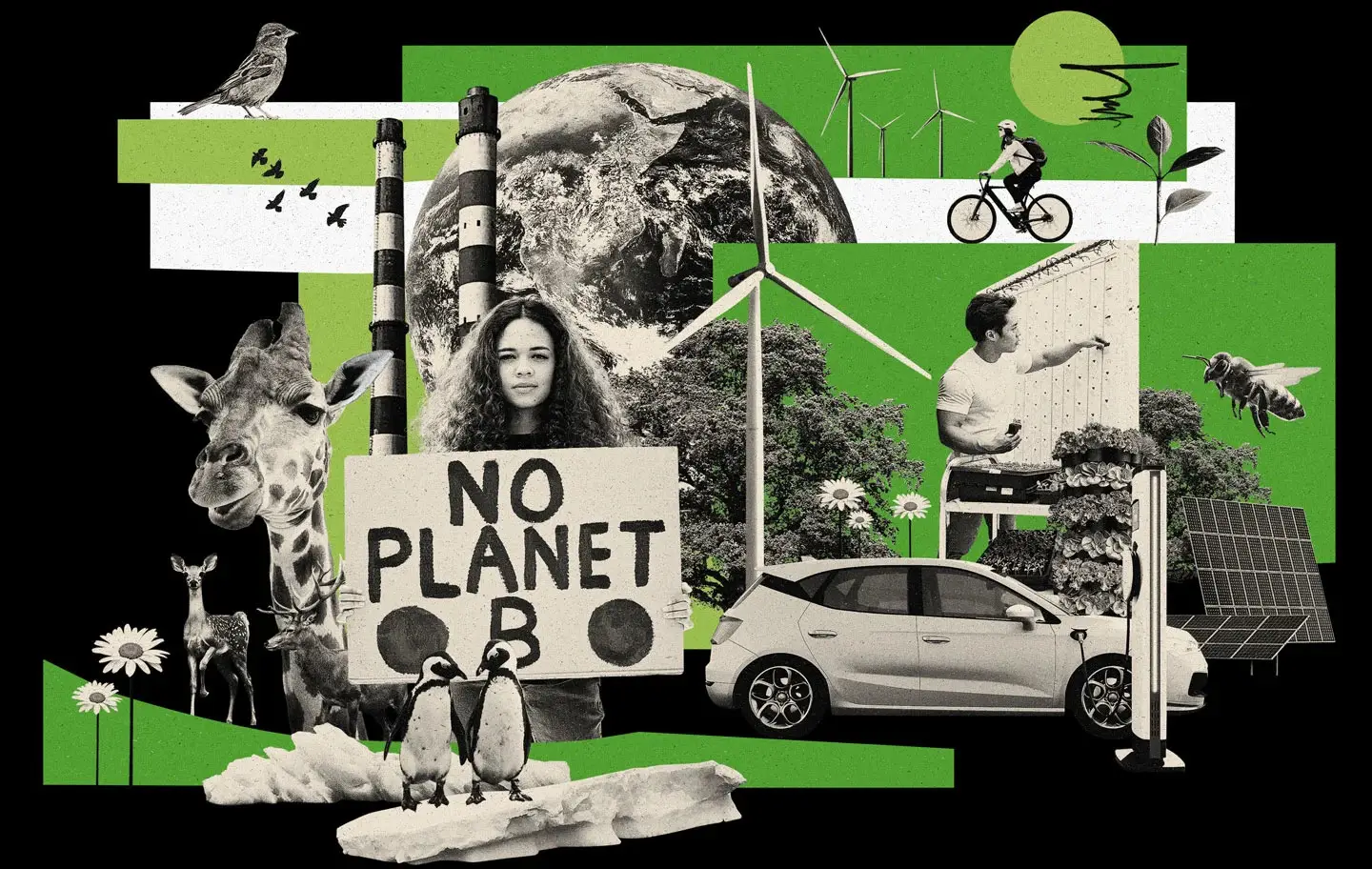 Creativity for Climate Justice – A Climate Learning Workshop